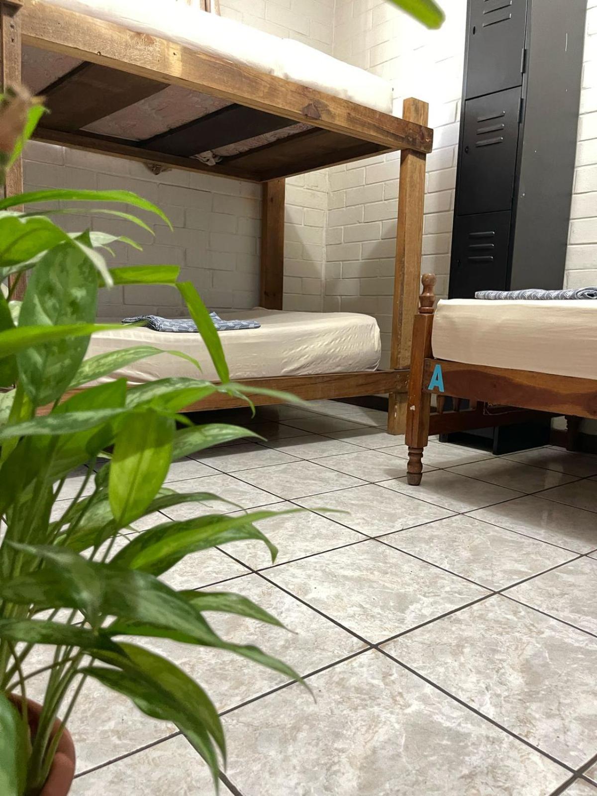 Pool House Hostel Santa Ana Esterno foto